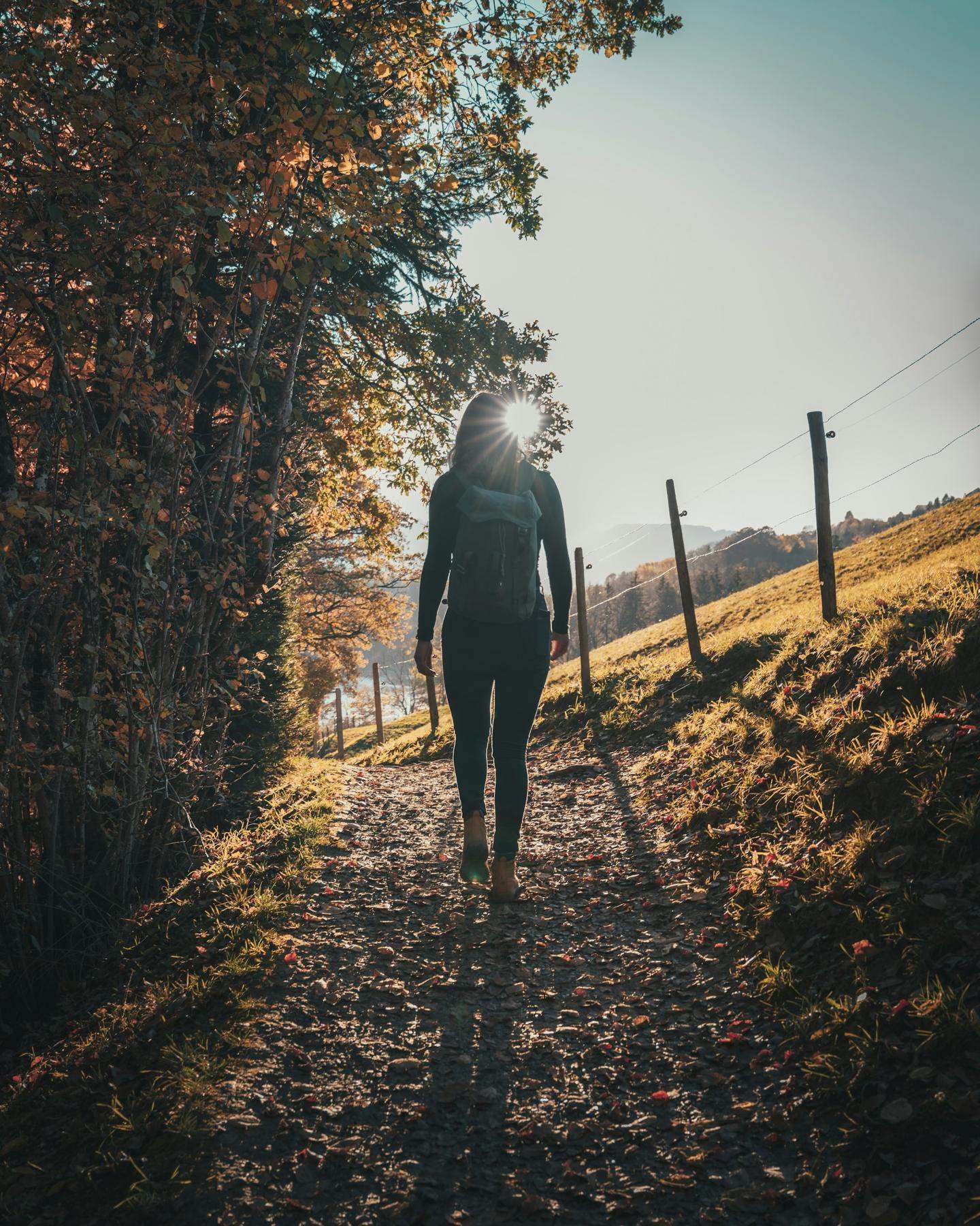 A person walking along a leafy path in low autumn sun